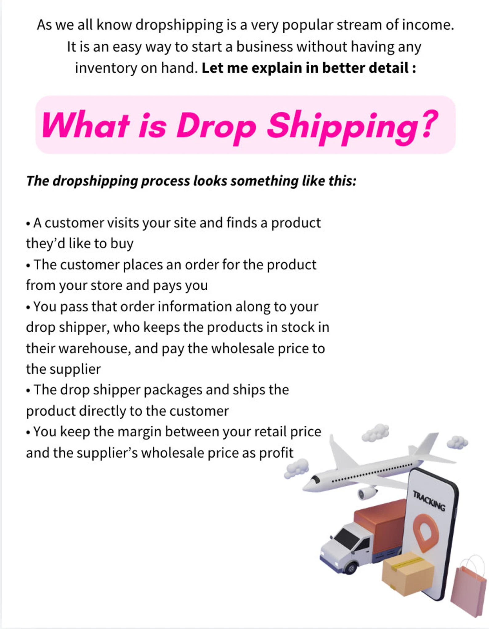 Dropshipping Business-20 pages with PLR & MRR rights - Image 3