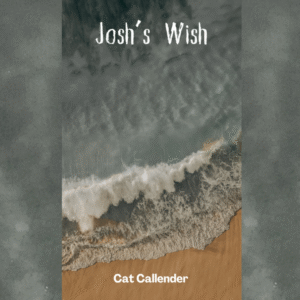 Josh's Wish. A short horror story.PLR & MRR