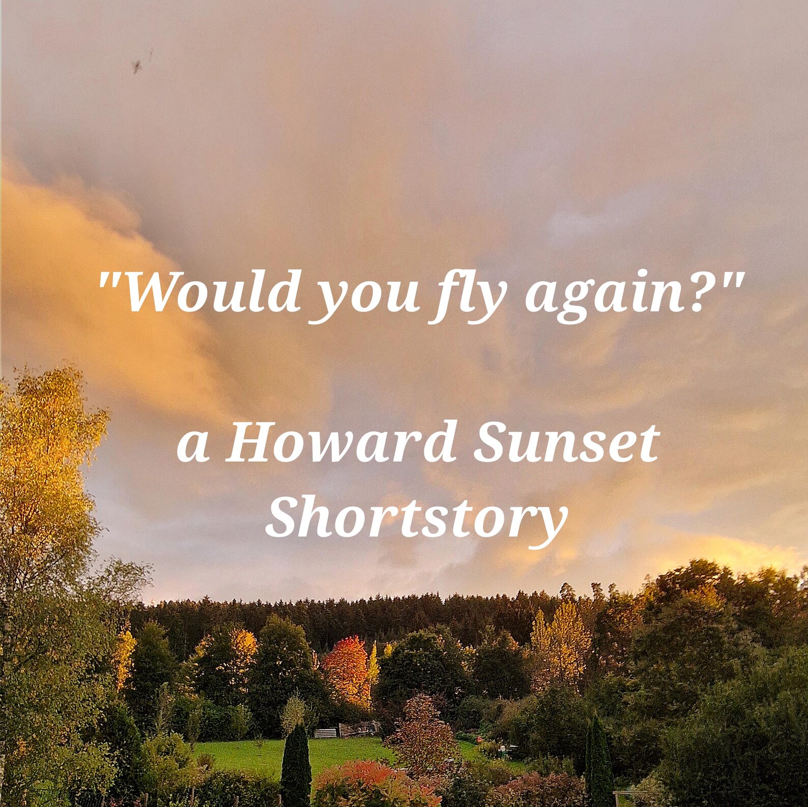 An English Suspense Story - "Would you fly again?"MRR & PLR - Image 2